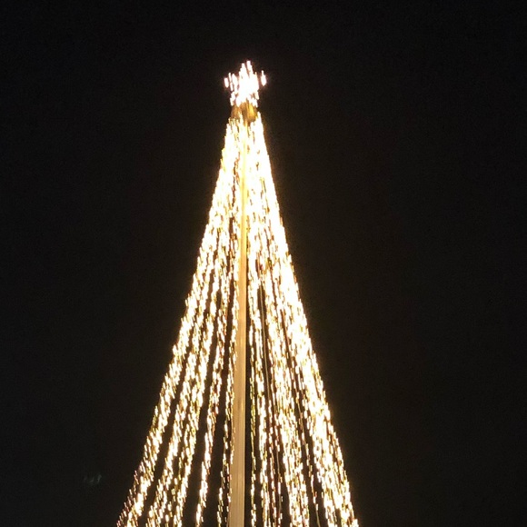 Meet your Posher, Sophia - Picture 1 of 1